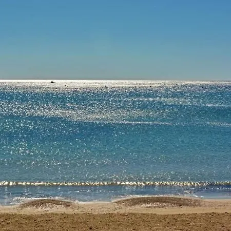 Boost Your Immo Sur Mer 447 *